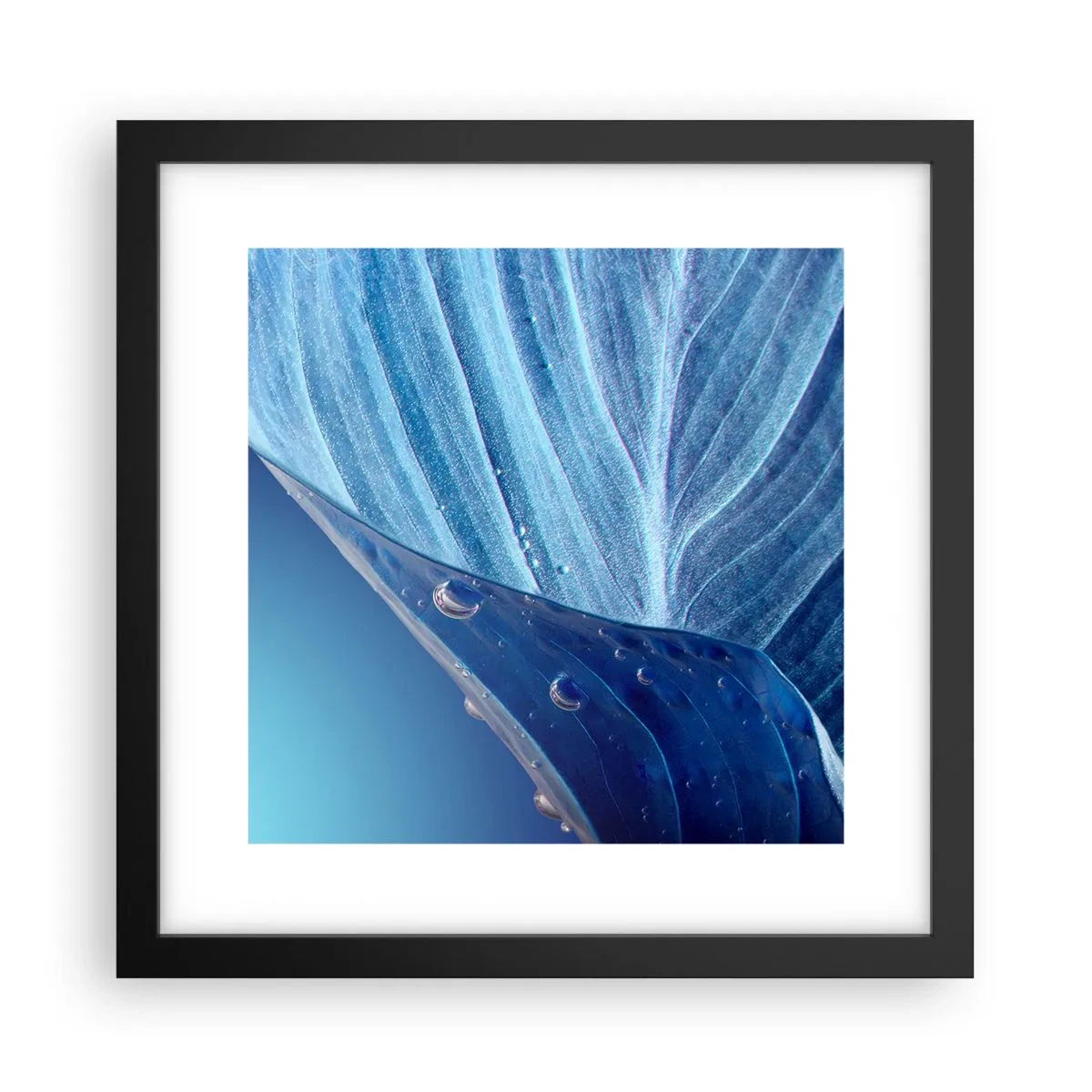 Poster în ramă neagră - Picături ascunse de albastru - 30x30 cm