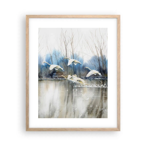 Poster în ramă de stejar deschis - Dansând cu lebedele sălbatice - 40x50 cm
