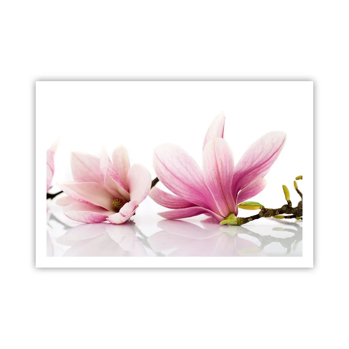 Poster - Delicate ca o adiere de primăvară - 91x61 cm