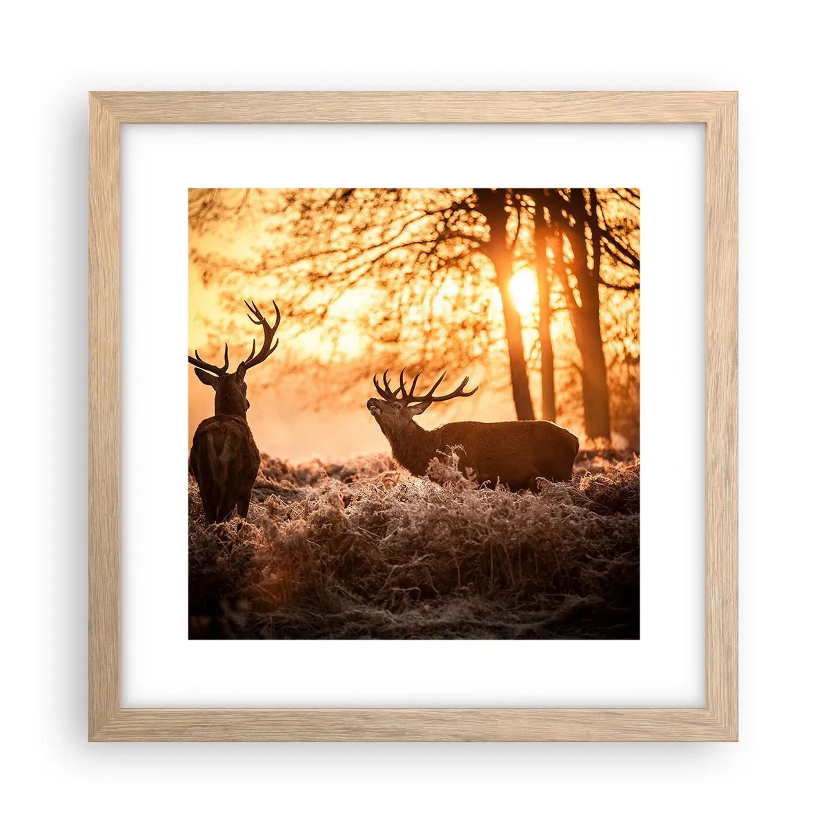 Poster în ramă de stejar deschis - Visul unui vânător - 30x30 cm