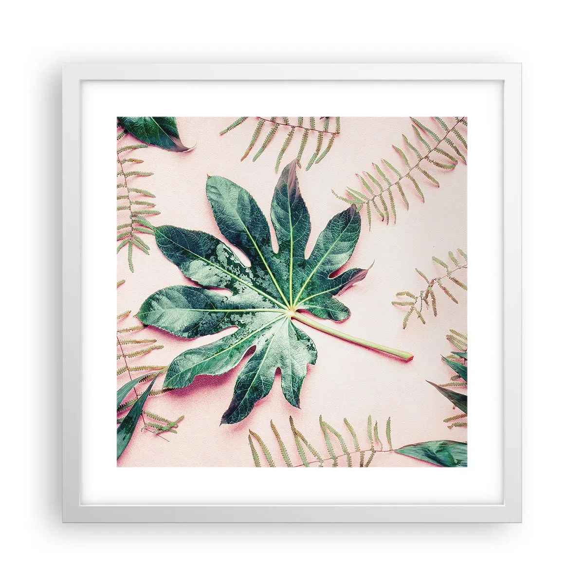 Poster în ramă albă - Studiu de verdeață pe un fundal roz - 40x40 cm