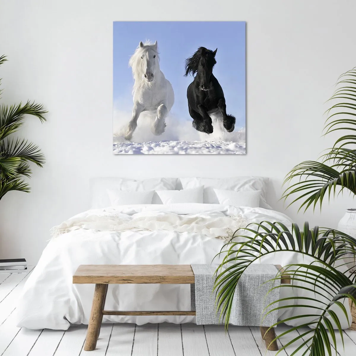 Tablou pe pânză - Galop de alb și negru - 70x70 cm
