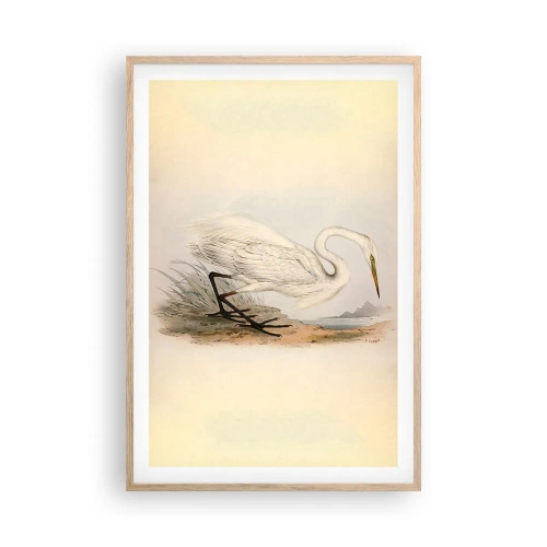 Poster în ramă de stejar deschis - Doamna în stufărișuri - 61x91 cm