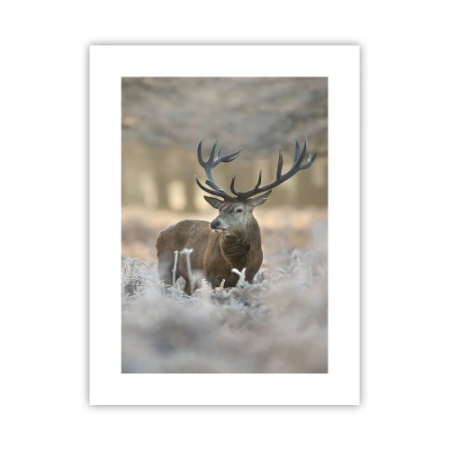 Poster - O dimineață răcoroasă - 30x40 cm