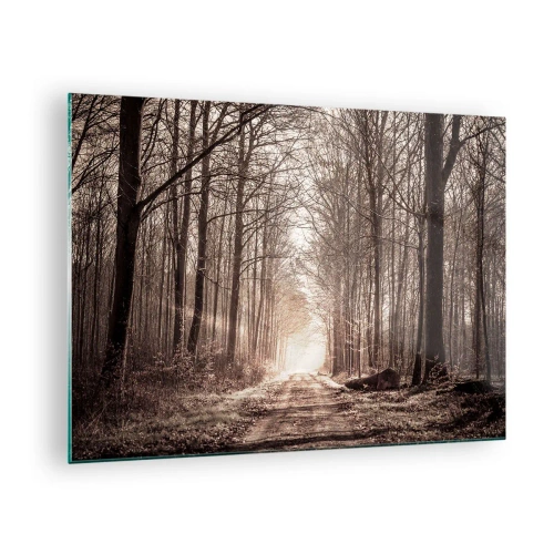Tablou pe sticlă - Drum forestier în ceața dimineții - 70x50cm - Catedrala Forestieră - Decorațiune modernă pentru perete pentru living și dormitor ARTTOR