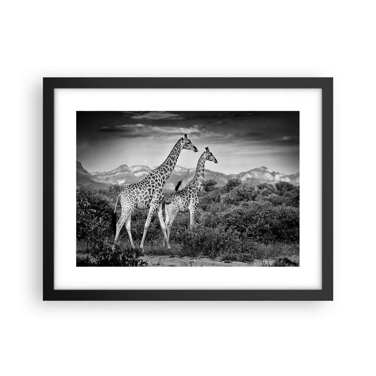 Poster în ramă neagră - Clasele superioare din Africa - 40x30 cm