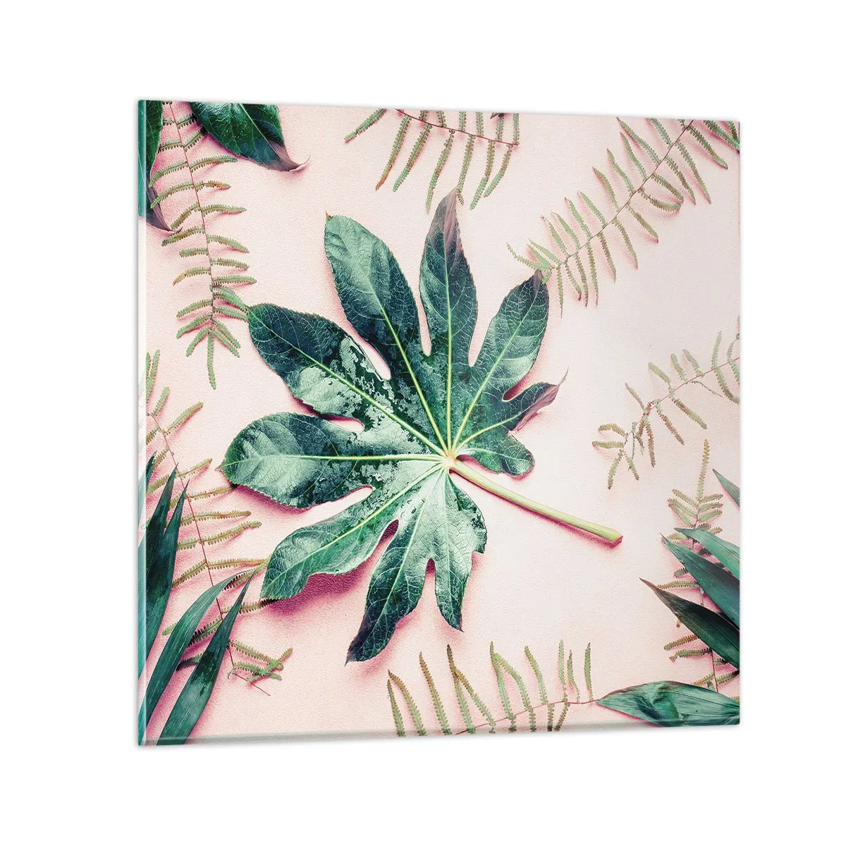 Tablou pe sticlă - Studiu de verdeață pe un fundal roz - 50x50 cm