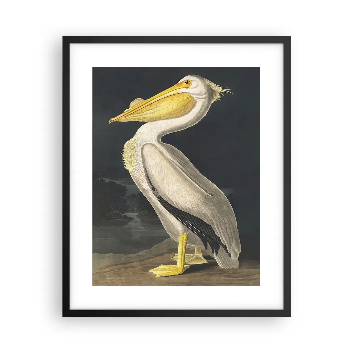 Poster în ramă neagră - Plin de mândrie - 40x50 cm