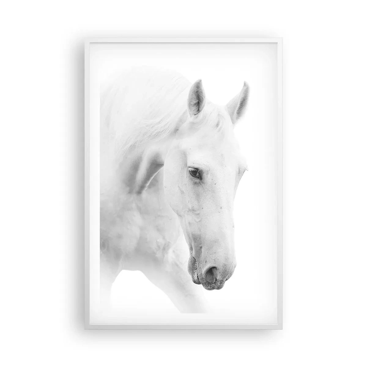 Poster în ramă albă - Este aceasta o prietenie...? - 61x91 cm