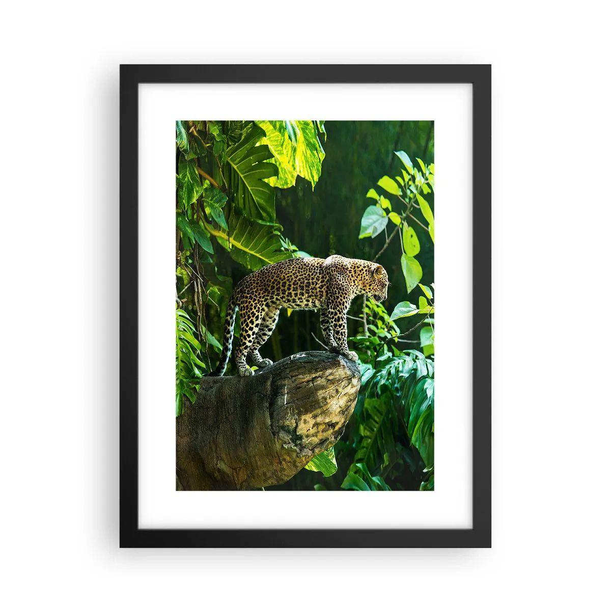 Poster în ramă neagră - La vânătoare? - 30x40 cm