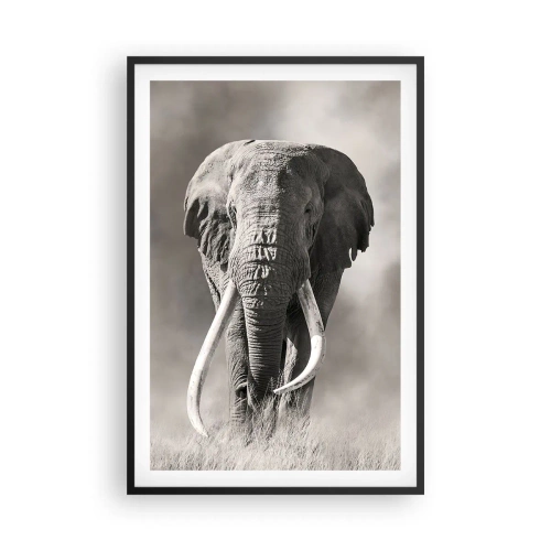 Poster în ramă neagră - Patriarh african - 61x91 cm