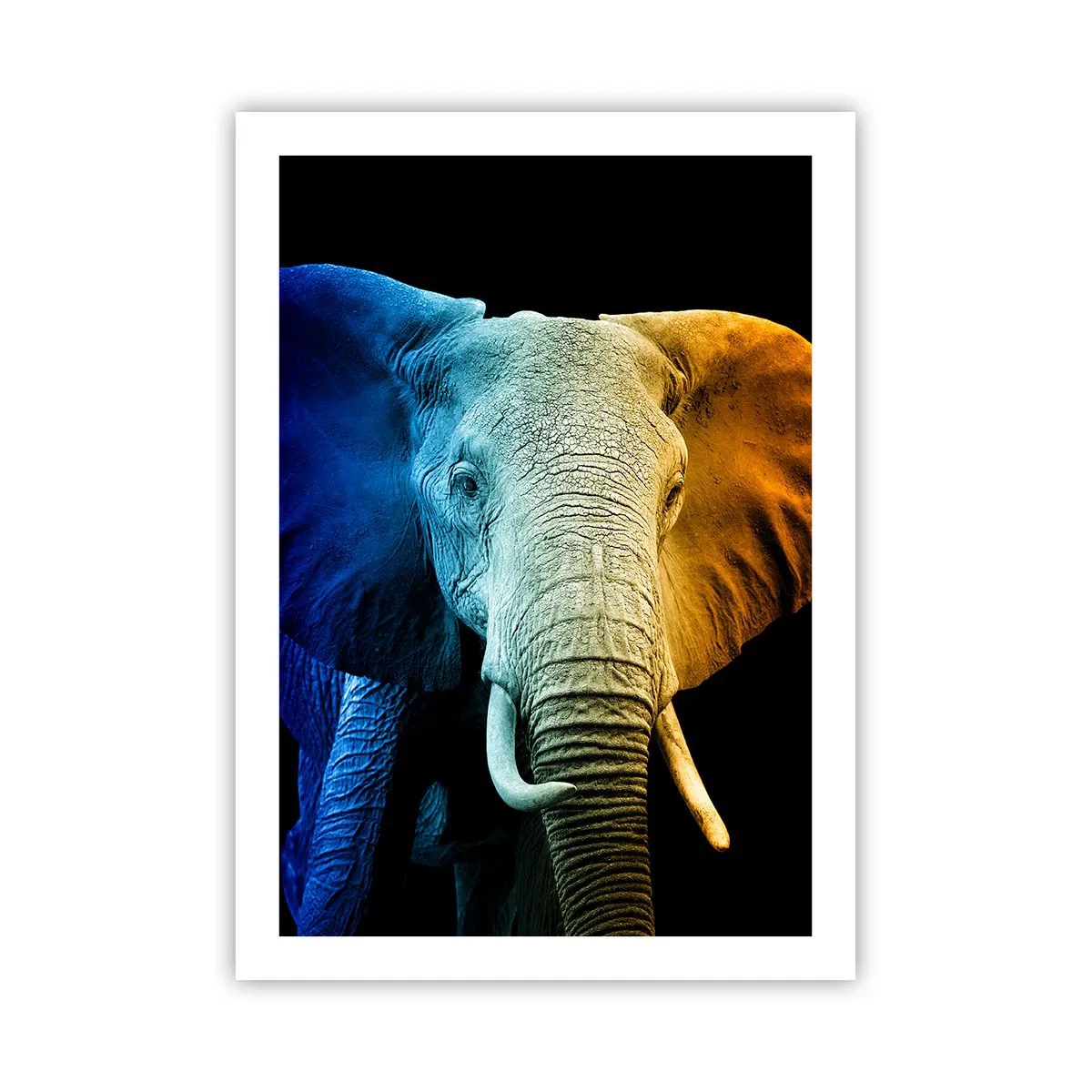 Poster - Excentric, nu ciudat - 50x70 cm