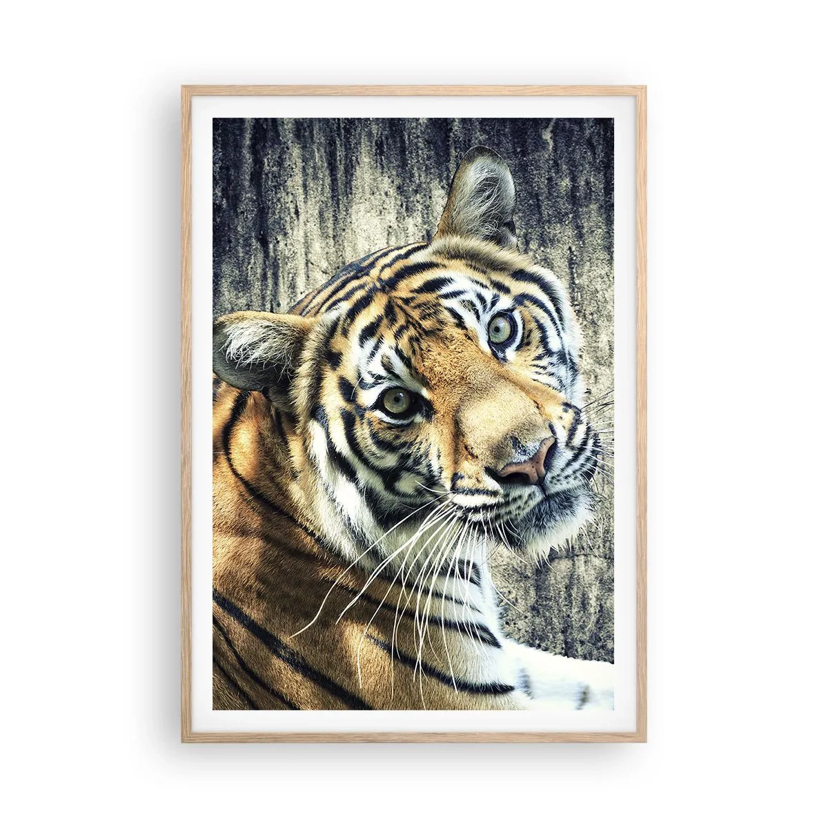 Poster în ramă de stejar deschis - Portret în fluxuri de lumină - 70x100 cm