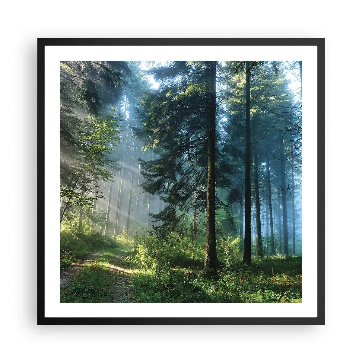 Poster în ramă neagră - Strălucirea de dimineață - 60x60 cm