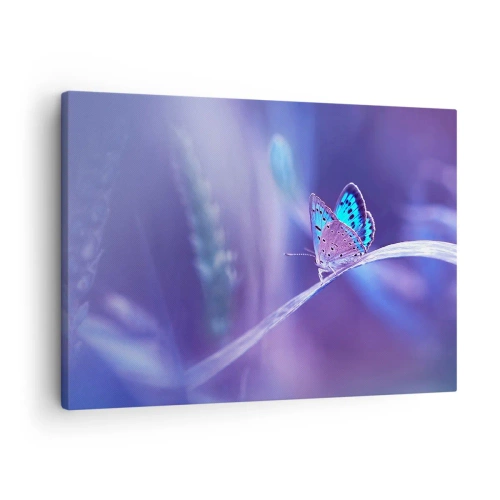 Tablou pe pânză Canvas - Un fluture albastru delicat pe o tulpină în lumină violetă - 70x50cm - O bijuterie a naturii - Decorațiune modernă pentru perete pentru living și dormitor ARTTOR