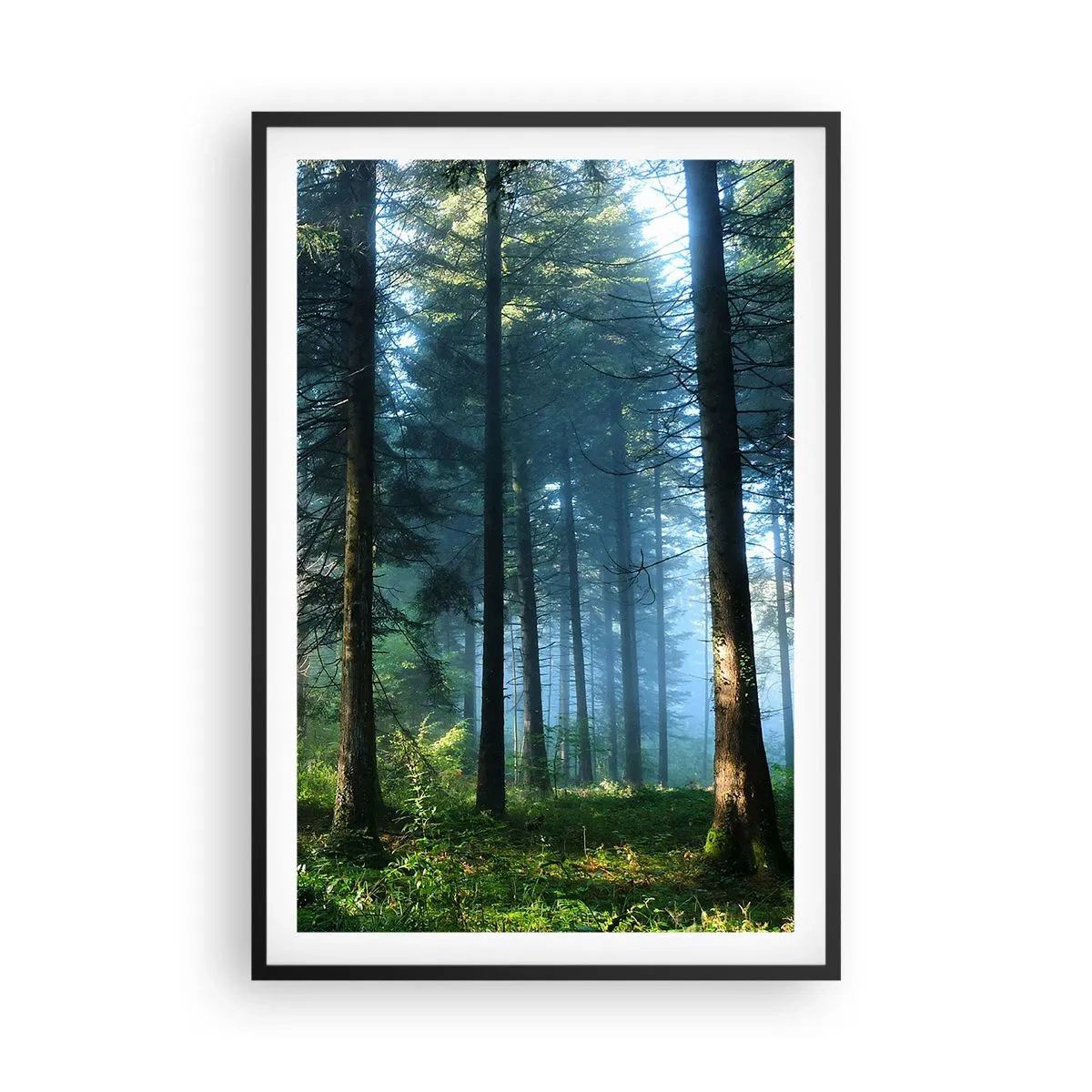 Poster în ramă neagră - Strălucirea de dimineață - 61x91 cm