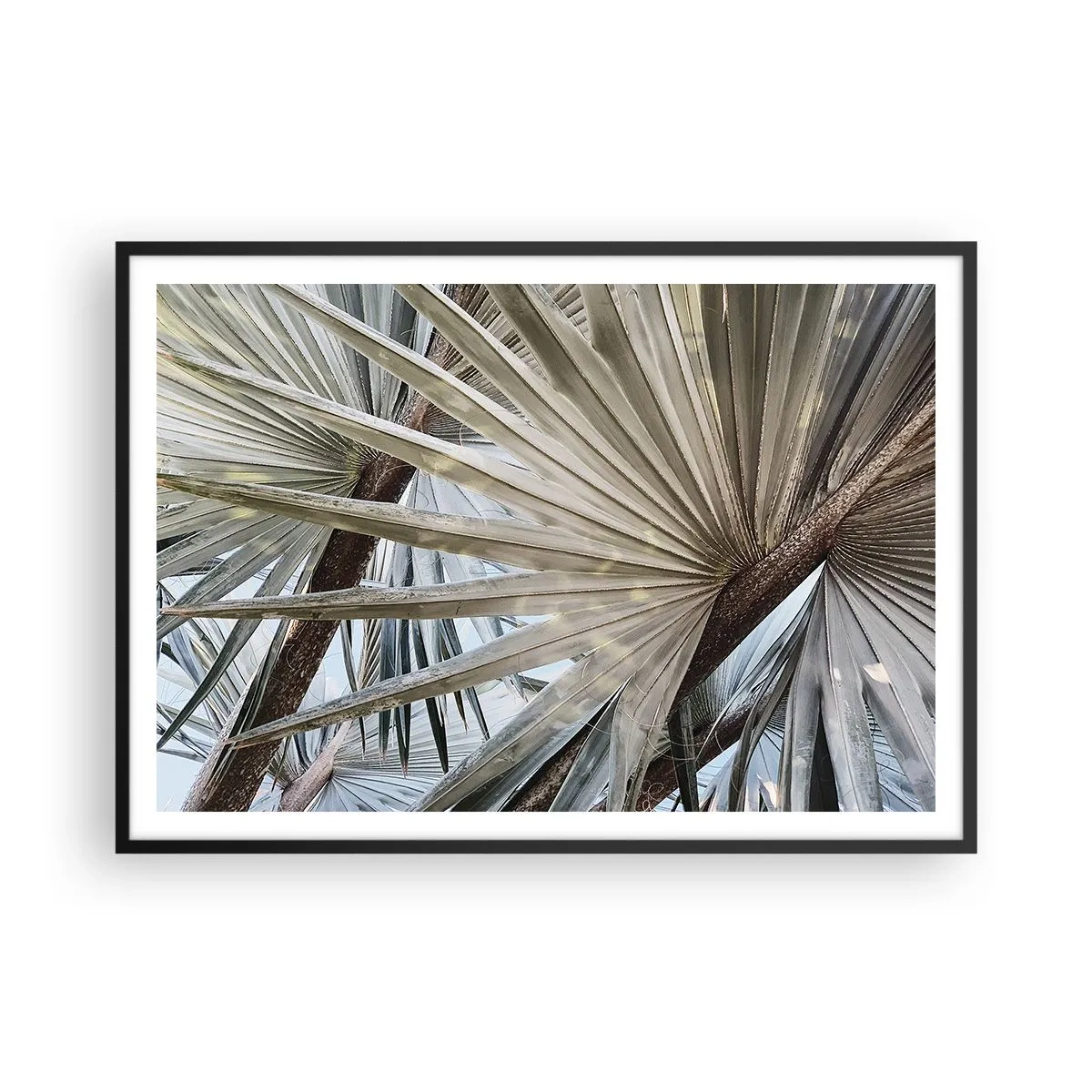 Poster în ramă neagră - Evantaie din tropice - 100x70 cm