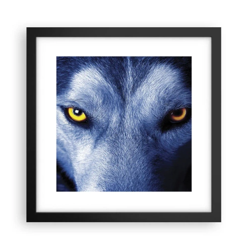 Poster în ramă neagră - O privire hipnotizantă - 30x30 cm