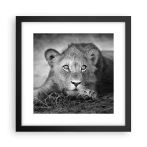 Poster în ramă neagră - Pisicuța regală - 30x30 cm
