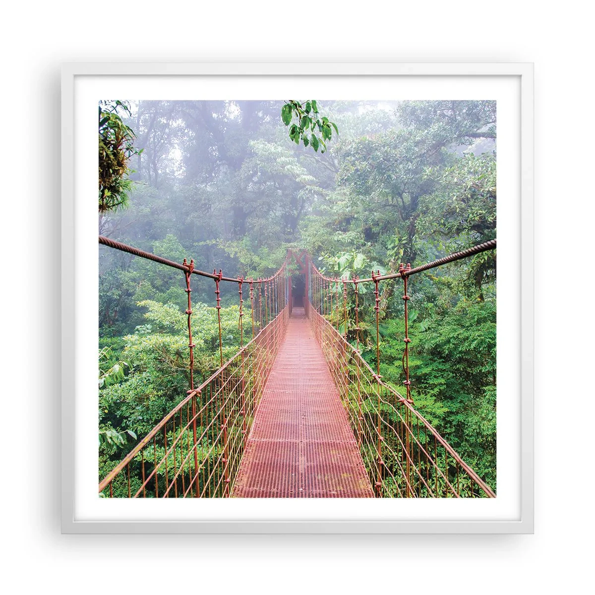 Poster în ramă albă - Suspendat deasupra coroanelor arborilor - 60x60 cm