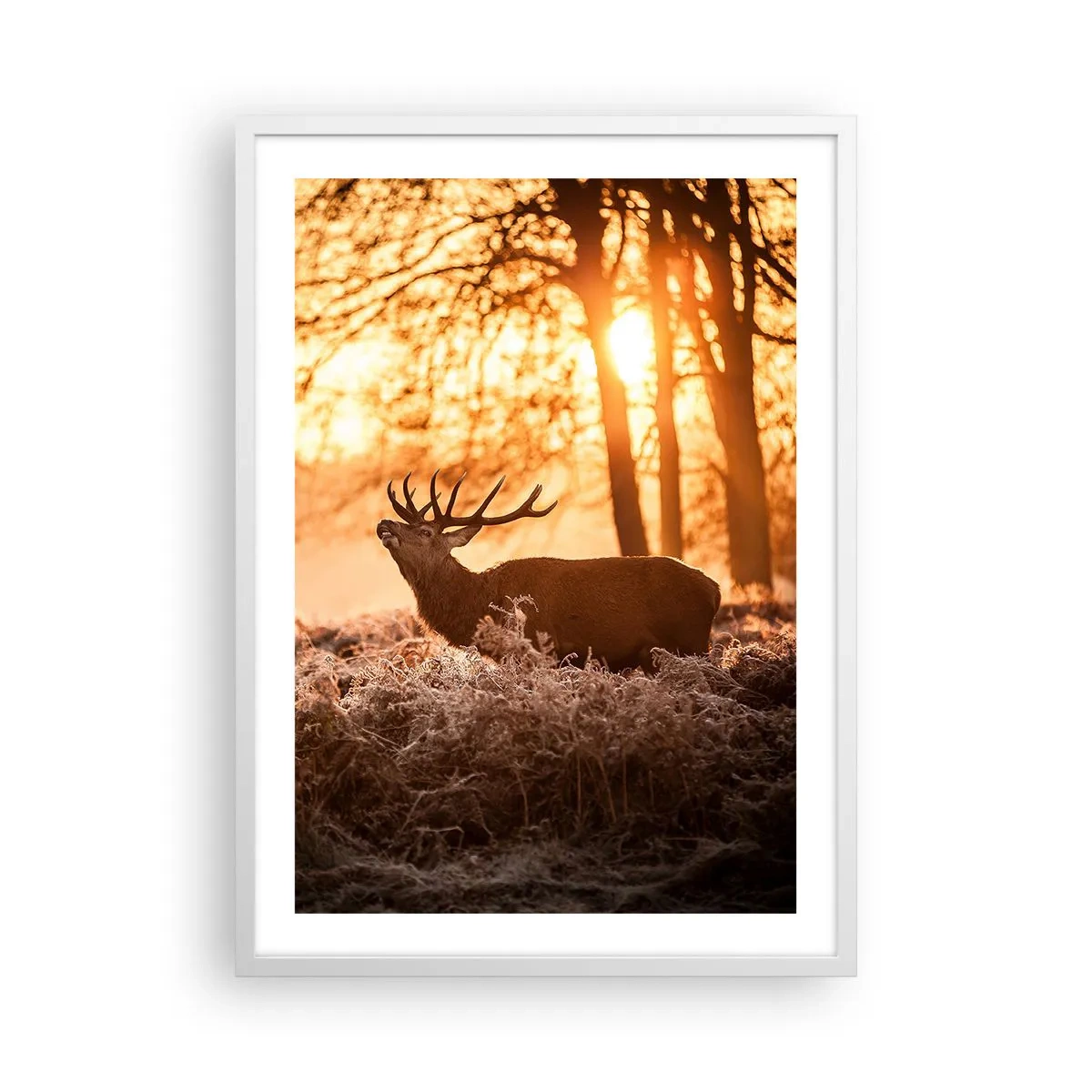 Poster în ramă albă - Visul unui vânător - 50x70 cm