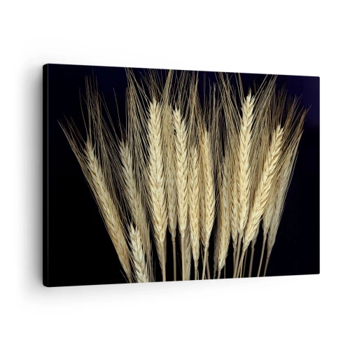 Tablou pe pânză Canvas - Șuvițe de grâu pe fundal negru în stil rustic - 70x50cm - Magie rustică - Decorațiune modernă pentru perete pentru living și dormitor ARTTOR