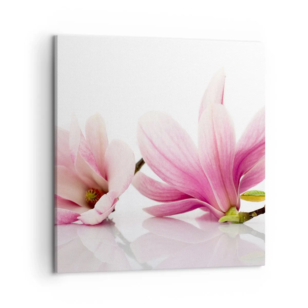 Tablou pe pânză - Delicate ca o adiere de primăvară - 50x50 cm