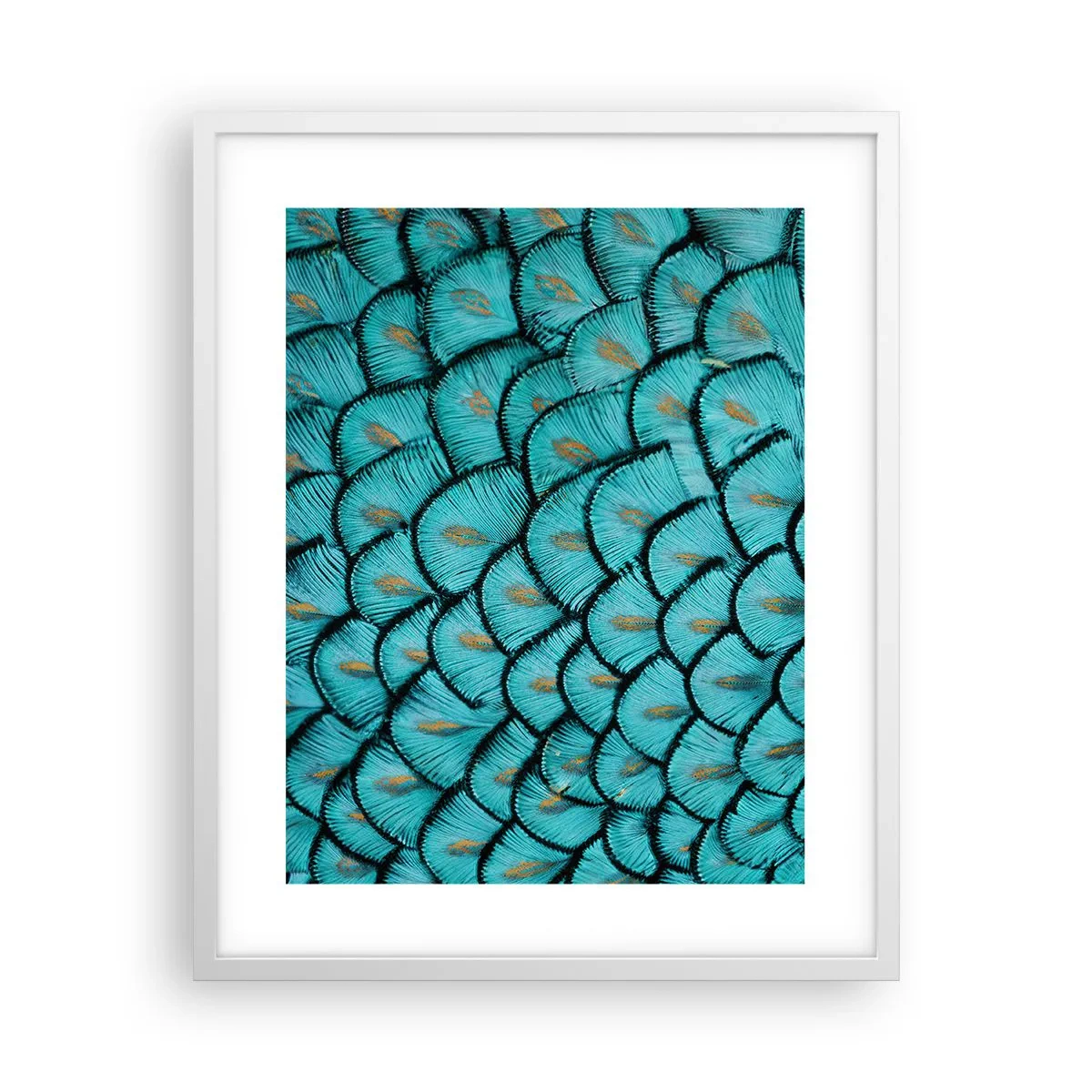 Poster în ramă albă - Marea gală a penelor - 40x50 cm