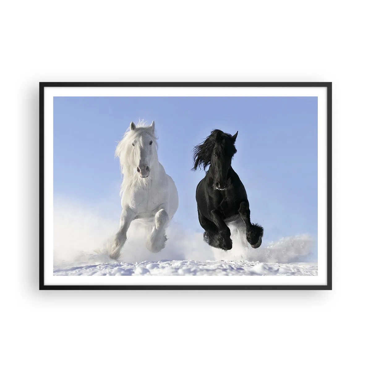 Poster în ramă neagră - Galop de alb și negru - 100x70 cm