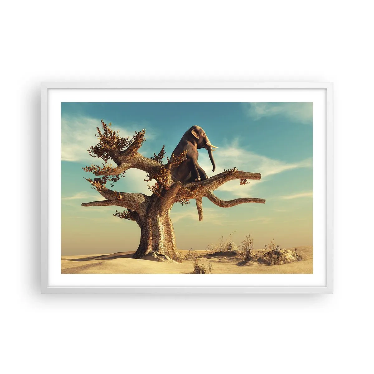 Poster în ramă albă - Un nou punct de vedere - 70x50 cm