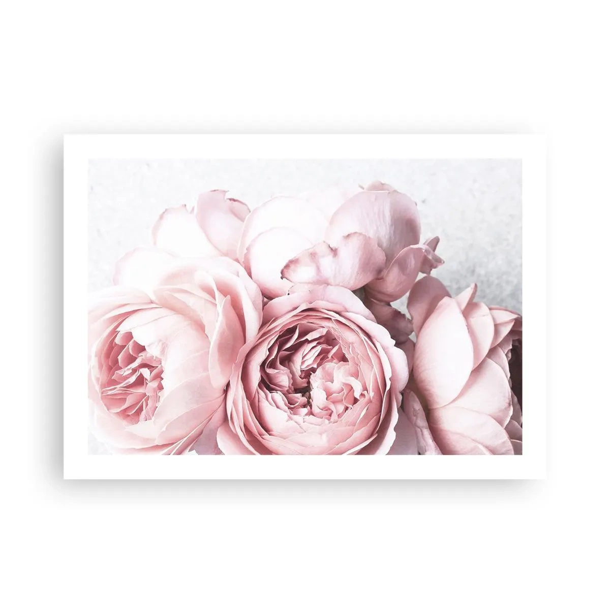 Poster - Pentru romantici - 70x50 cm