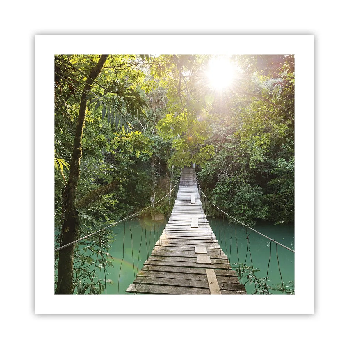 Poster - Peste apa de azur spre pădurea de azur - 50x50 cm