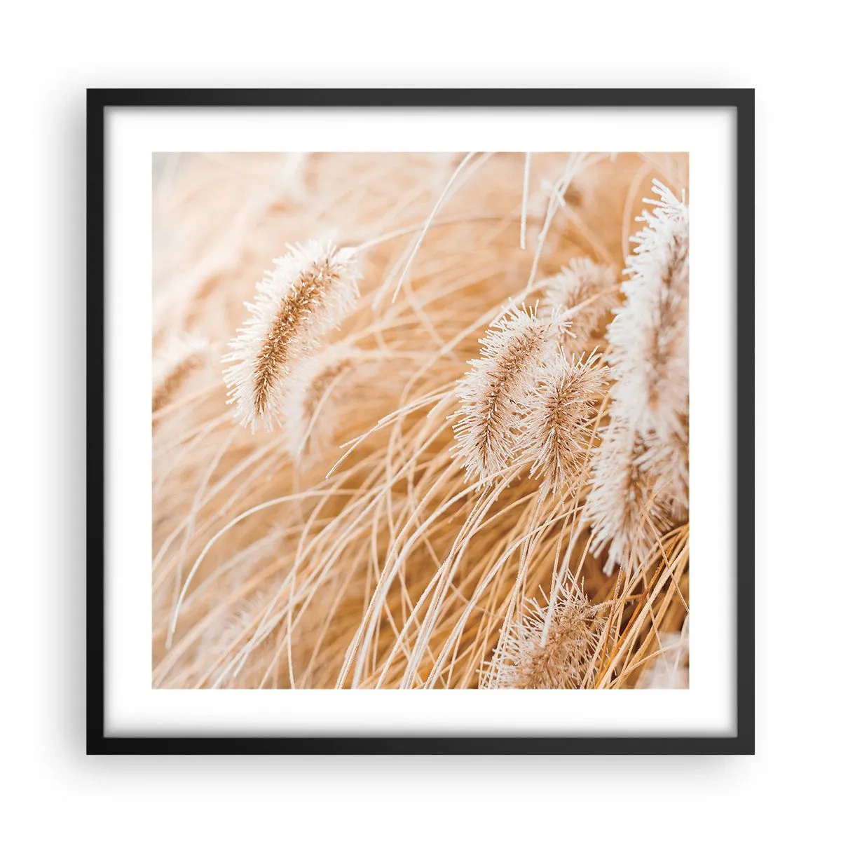 Poster în ramă neagră - Foșnetul auriu al ierburilor - 50x50 cm