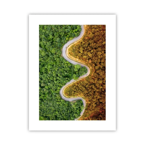 Poster - Frontiere și defilee - 30x40 cm