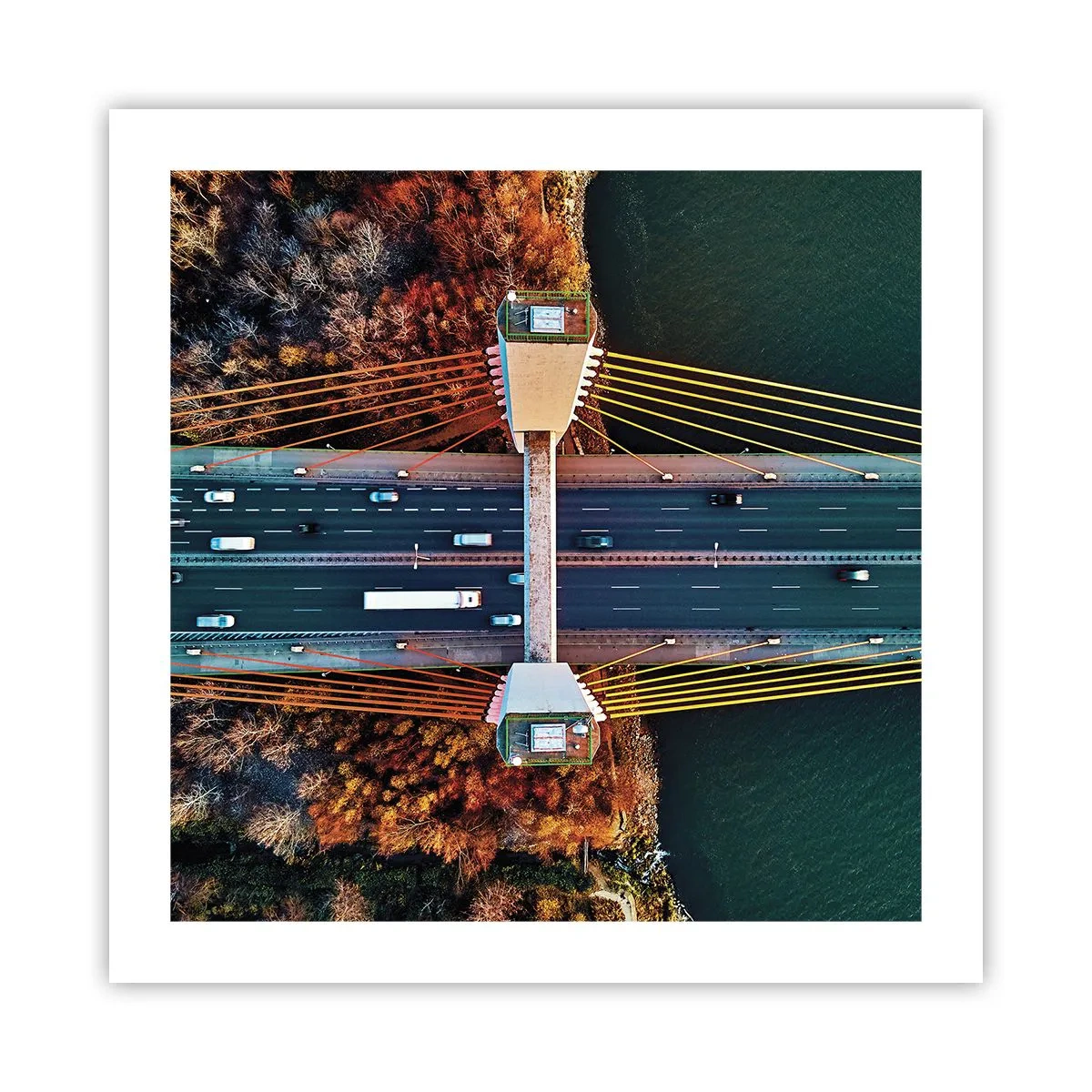 Poster - Din pădure spre apă - 50x50 cm