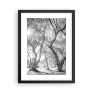 Poster în ramă neagră - Într-o livadă de măslini - 30x40 cm