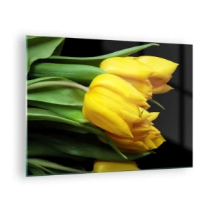 Tablou pe sticlă - Lalele galbene pe fundal negru într-o fotografie elegantă - 70x50cm - Răsărind din soarele pur - Decorațiune modernă pentru perete pentru living și dormitor ARTTOR