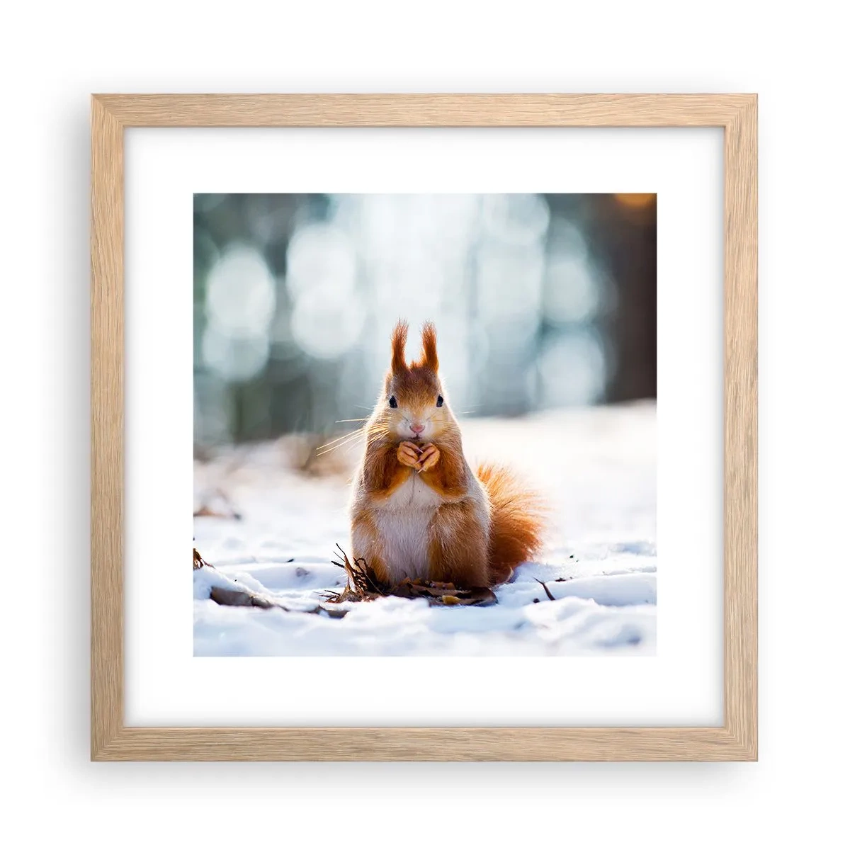 Poster în ramă de stejar deschis - Și la ce te uiți? - 30x30 cm