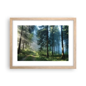 Poster în ramă de stejar deschis - Strălucirea de dimineață - 40x30 cm