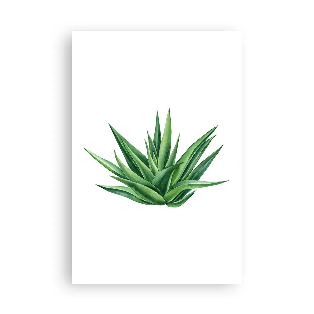 Poster - Verde - putere - viață - 61x91 cm