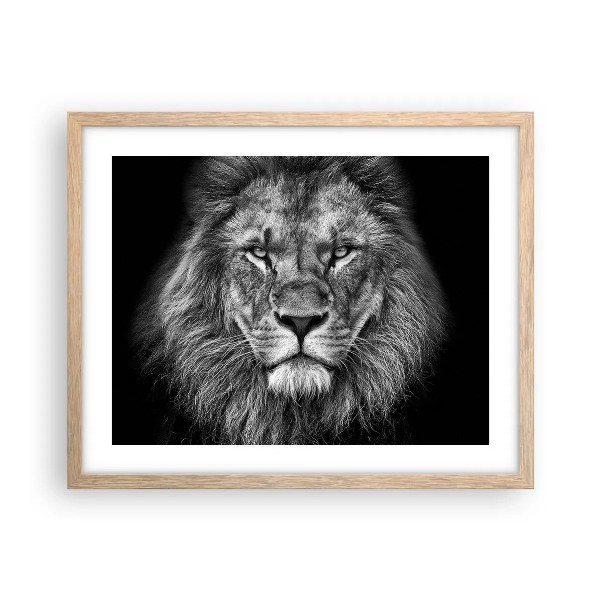 Poster în ramă de stejar deschis - În ținuta de încoronare - 50x40 cm