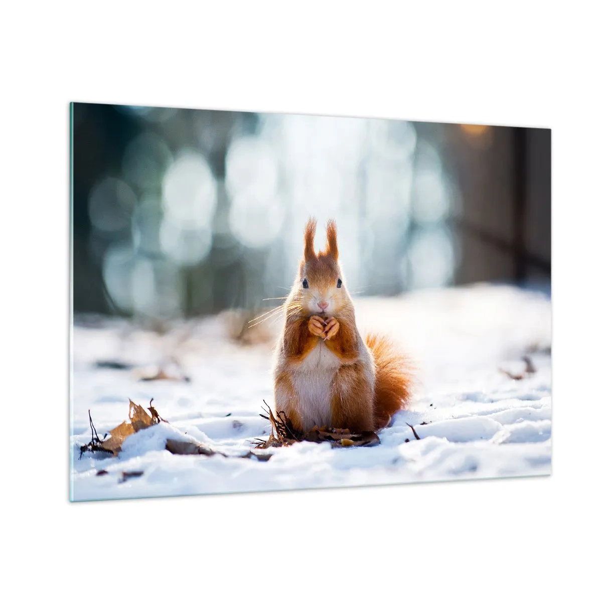 Tablou pe sticlă - Și la ce te uiți? - 100x70 cm