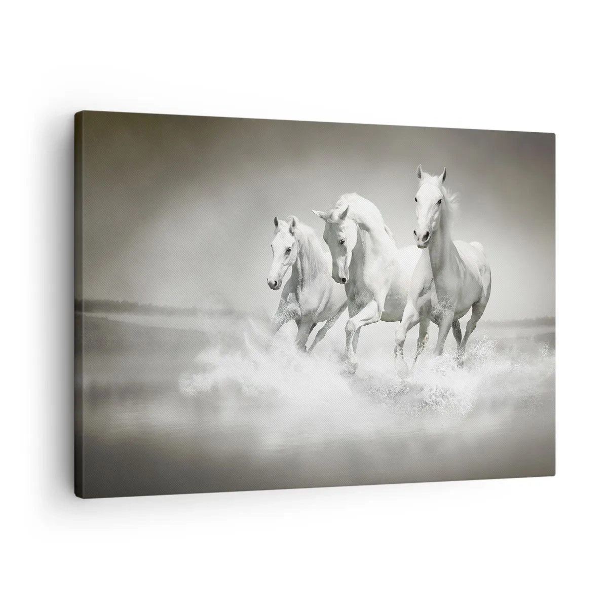 Tablou pe pânză Canvas - Trei cai albi galopând prin apă - 70x50cm - Nebunie albă - Decorațiune modernă pentru perete pentru living și dormitor ARTTOR