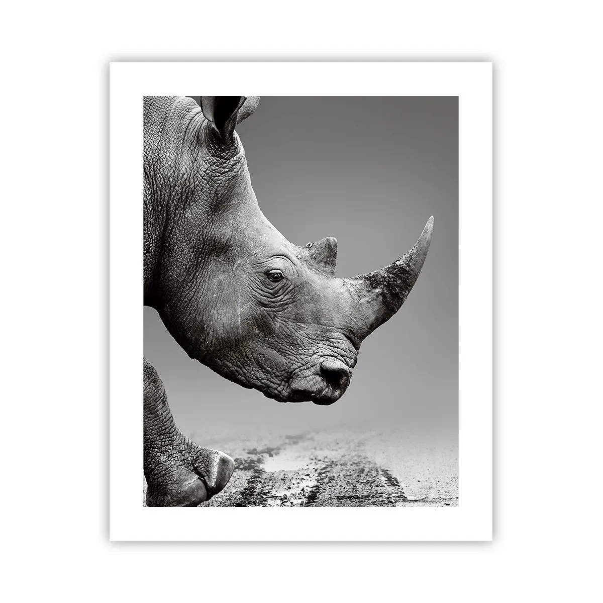 Poster - O forță de neoprit - 40x50 cm