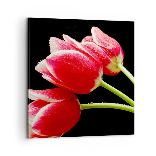 Tablou pe pânză - Promisiunea unei iubiri pure - 60x60 cm