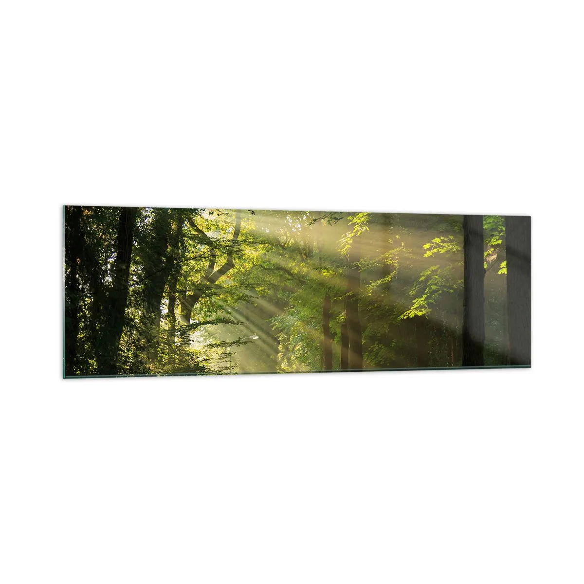 Tablou pe sticlă - Moment de pădure - 160x50 cm