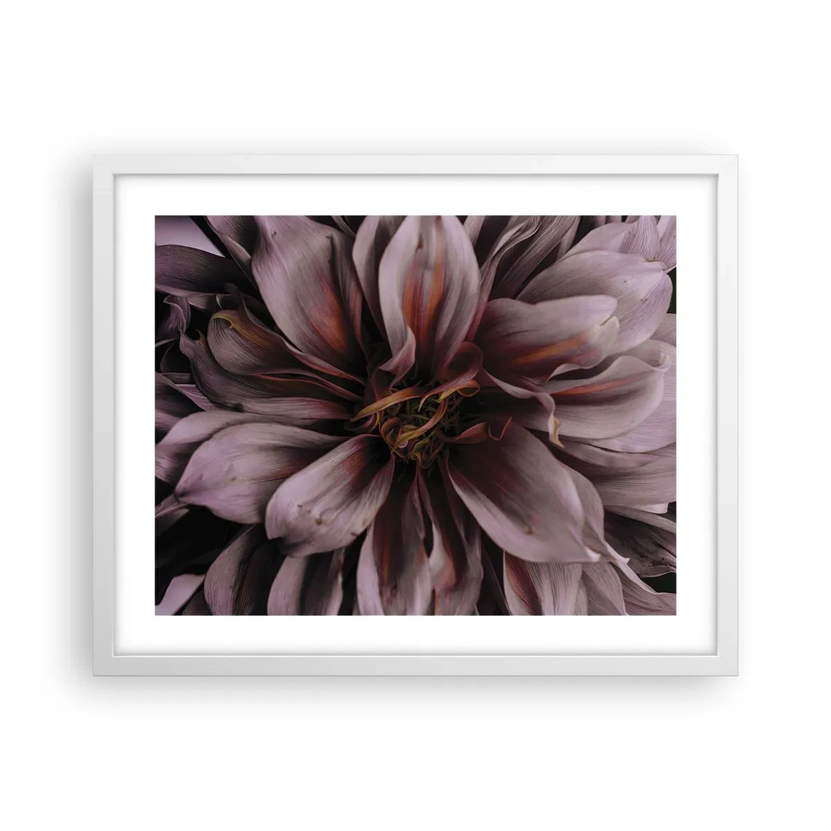 Poster în ramă albă - Inimă florală - 50x40 cm