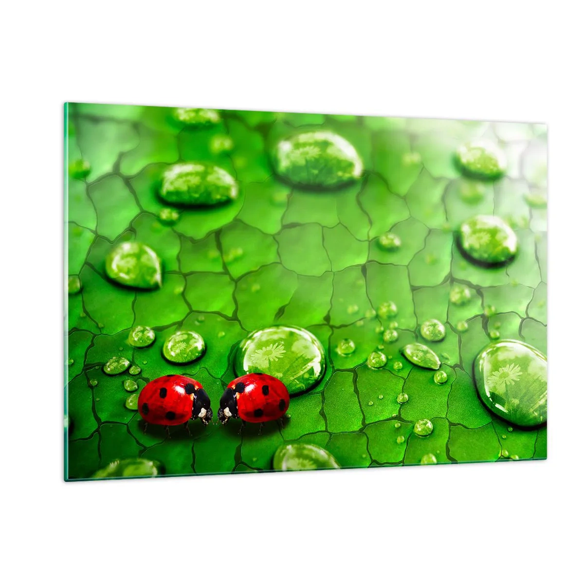 Tablou pe sticlă - Întâlnire în verde - 120x80 cm