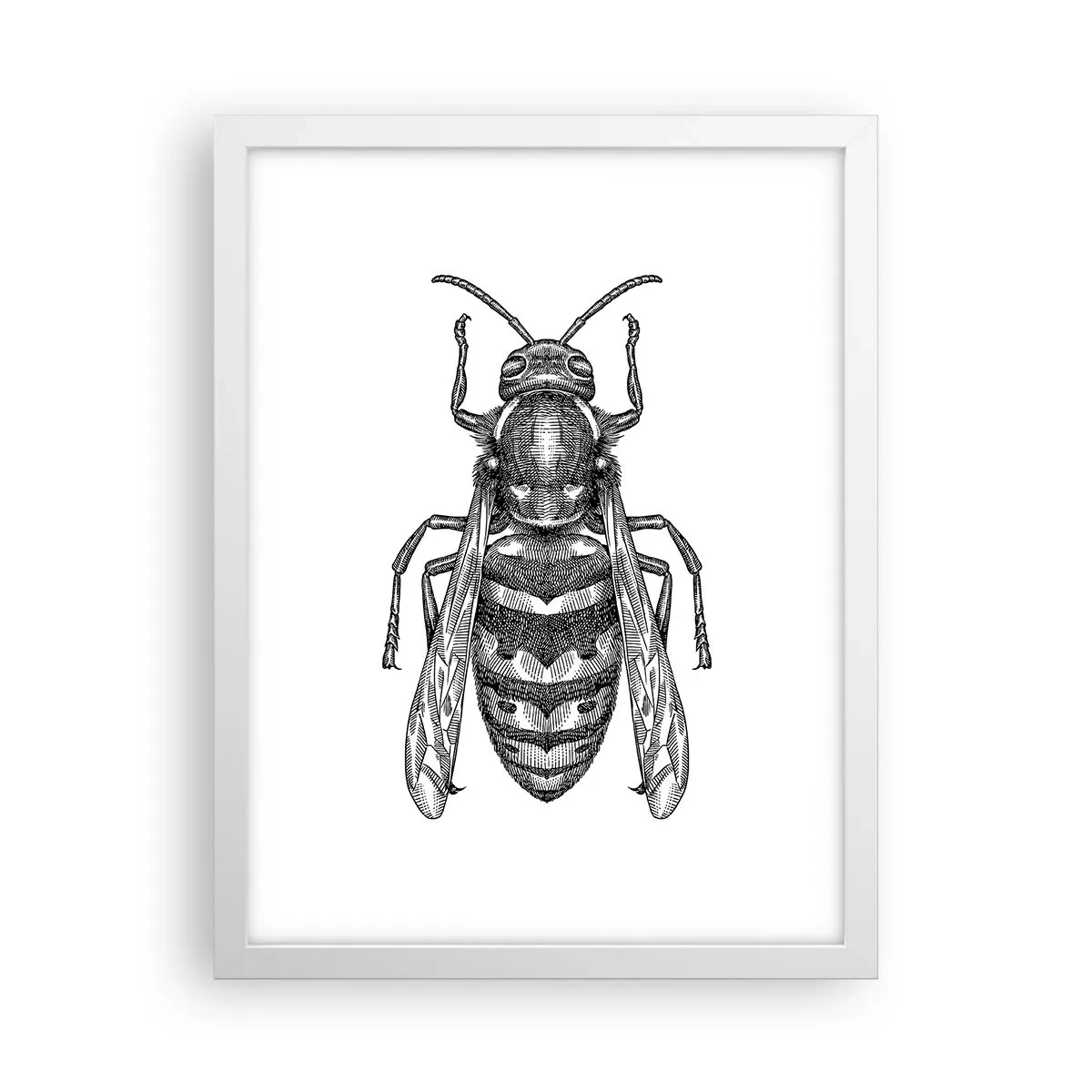 Poster în ramă albă - De pe o planetă de insecte - 30x40 cm