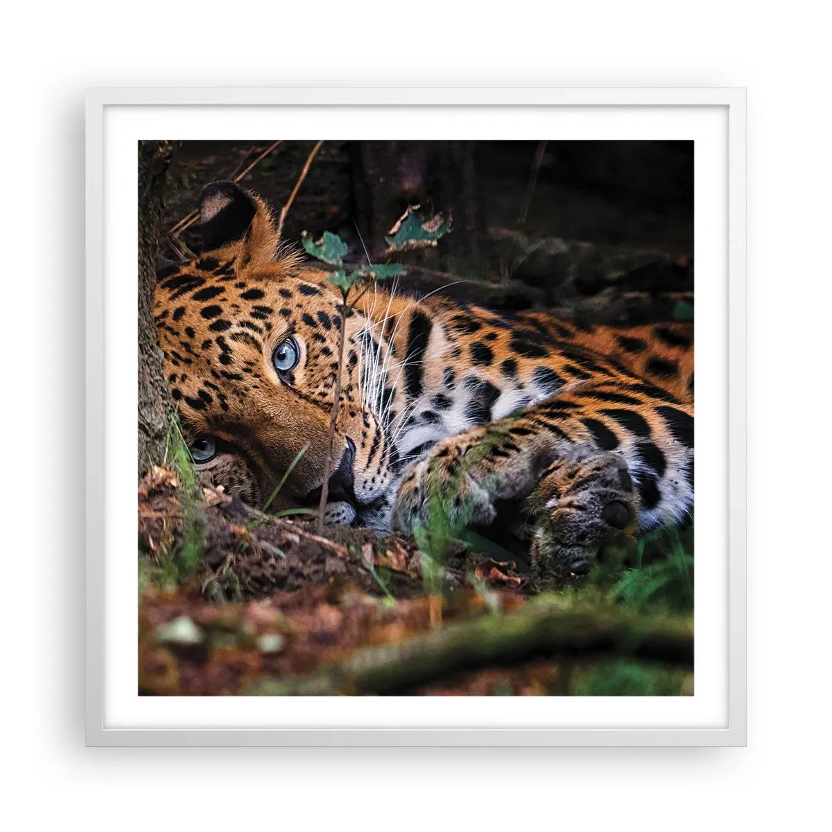 Poster în ramă albă - Să ai încredere în mine - 60x60 cm